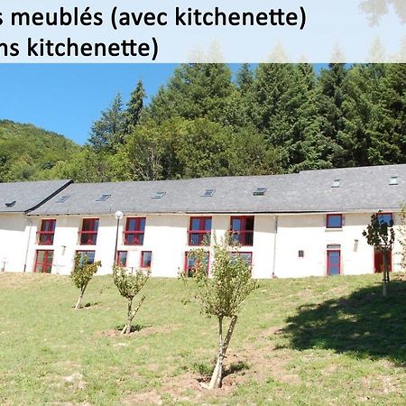 Gite Du Haut Cantal - Appartements Meubles Avec Kitchenette Et Chambres Sans Kitchenette Condat  Exteriér fotografie