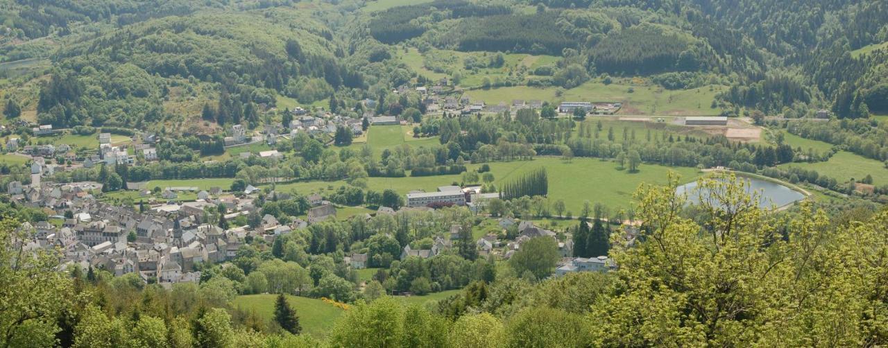Gite Du Haut Cantal - Appartements Meubles Avec Kitchenette Et Chambres Sans Kitchenette Condat  Exteriér fotografie
