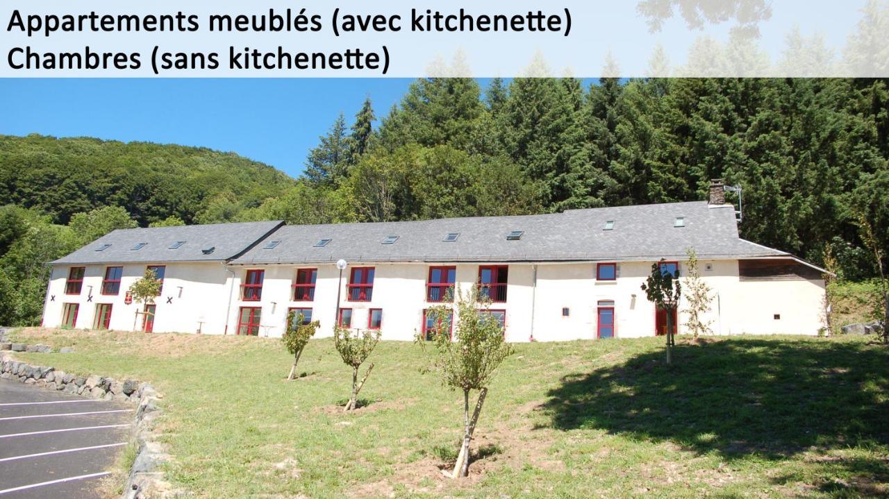 Gite Du Haut Cantal - Appartements Meubles Avec Kitchenette Et Chambres Sans Kitchenette Condat  Exteriér fotografie